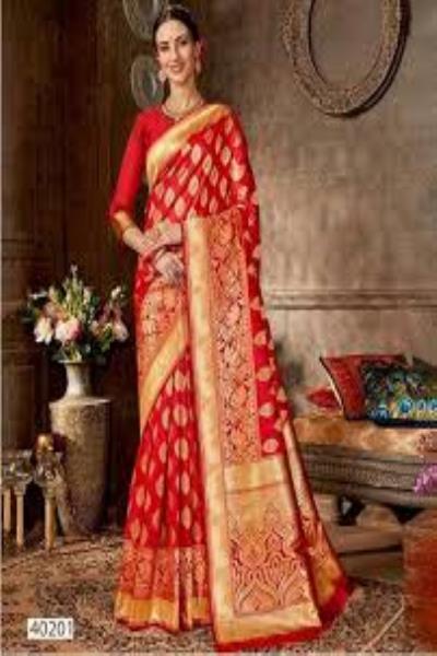Traditional Indian sari 